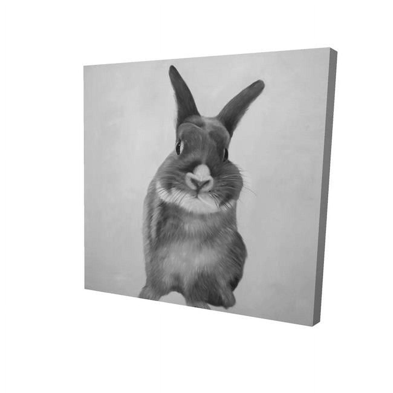8 x 8 in. Funny Grey Rabbit-Print on Canvas