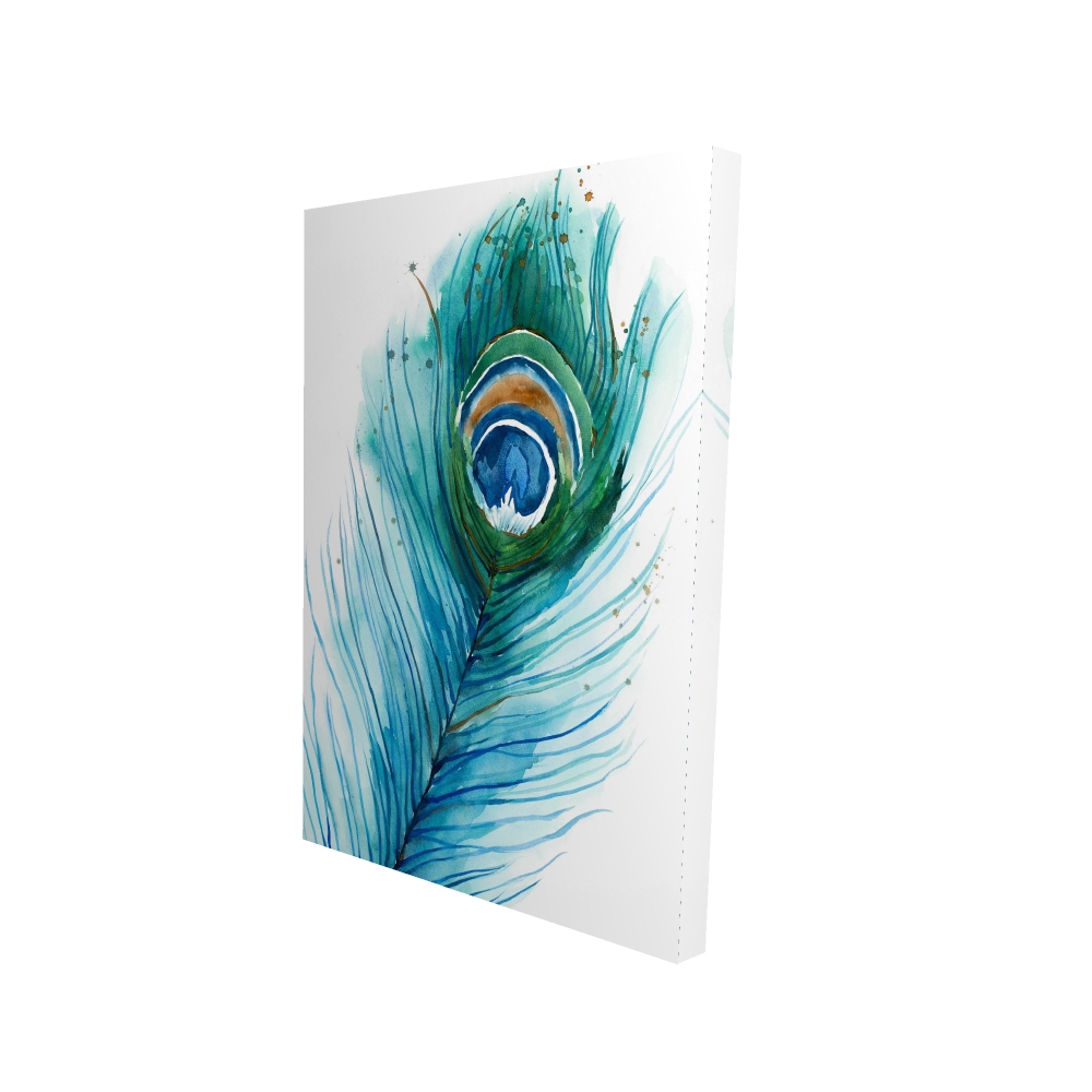 2080-3624-AN357 24 x 36 in. Long Peacock Feather - Feathers Animals Canvas for Home Decor