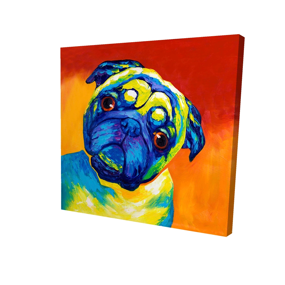 2080-3636-AN84 36 x 36 in. Curious Pug - Animals Pets Canvas for Home Decor - Cute Art