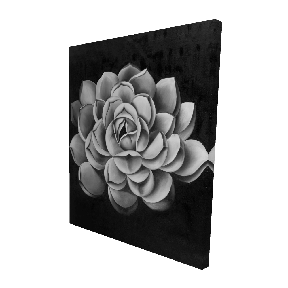 2080-6048-FL93 48 x 60 in. Black & White Succulent Canvas - Monochrome Home Decor