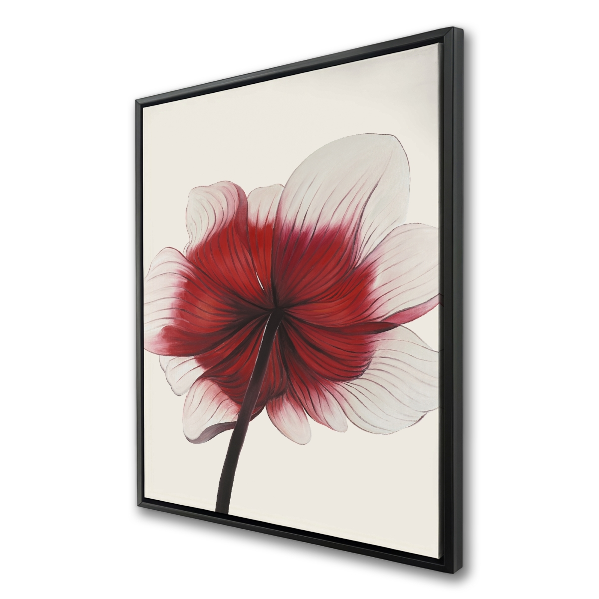 C1FC3648EY116F 36 x 48 in. Anemone Red Flower - Romantic Framed Canvas for Home Decor