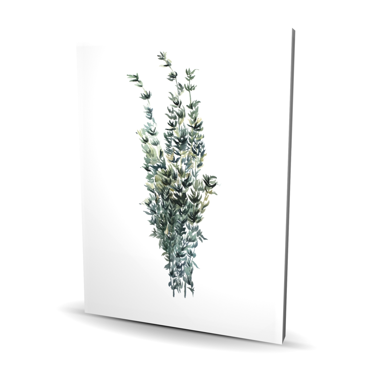 C1RC3648TBCLII 36 x 48 in. Thyme Leaves Bundle - White Illustrative Canvas for Home Decor