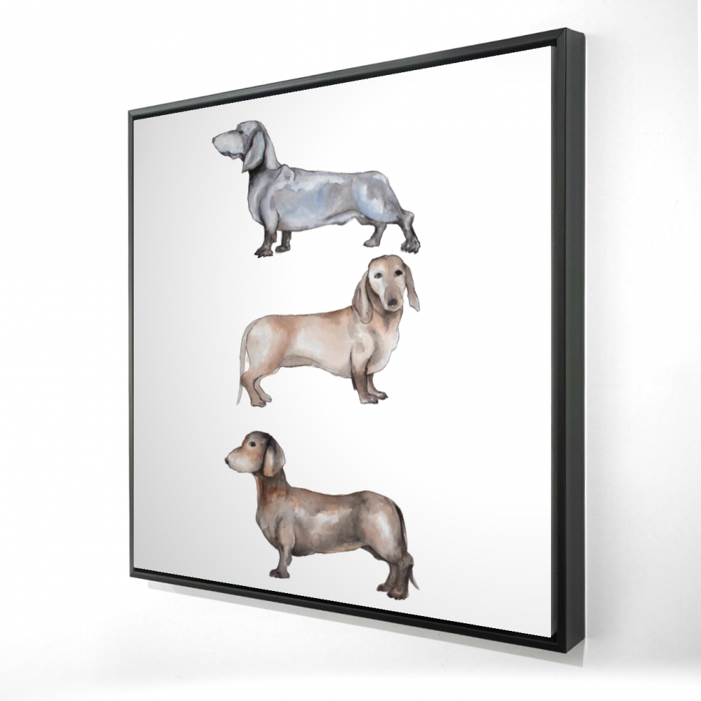 2081-3636-AN409 36 x 36 in. Small Dachshund Dog Framed Canvas - Pets Bedroom Decor
