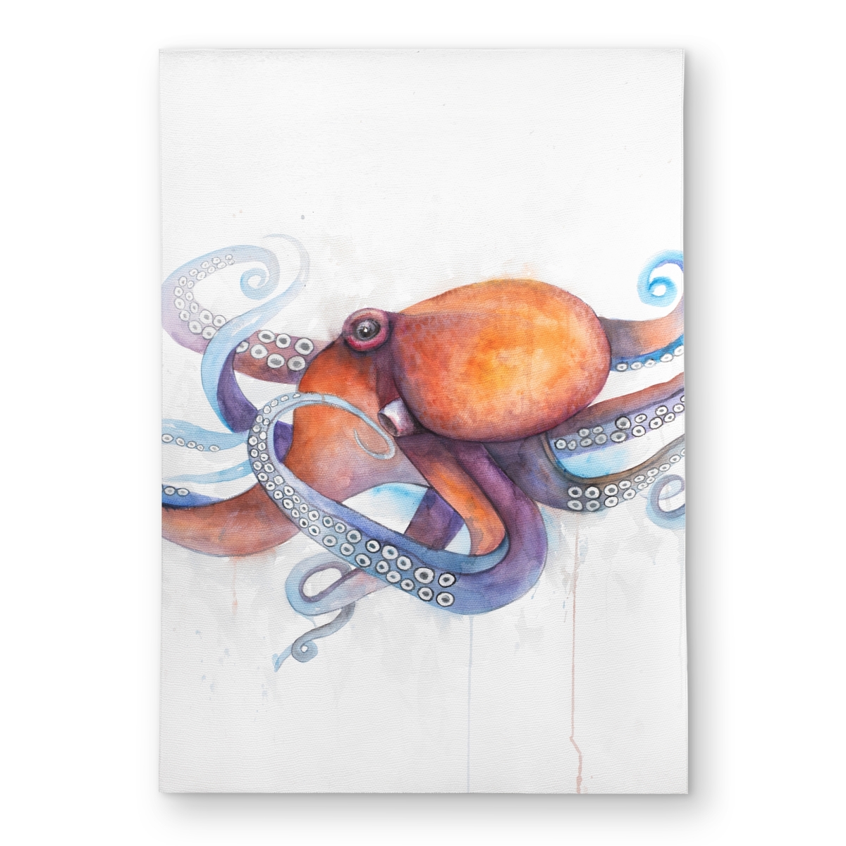 C1ROAR572HWPW1 5 x 7 ft. Colorful Octopus Profile Outdoor Area Rug - Living Room Decor - Rectangle