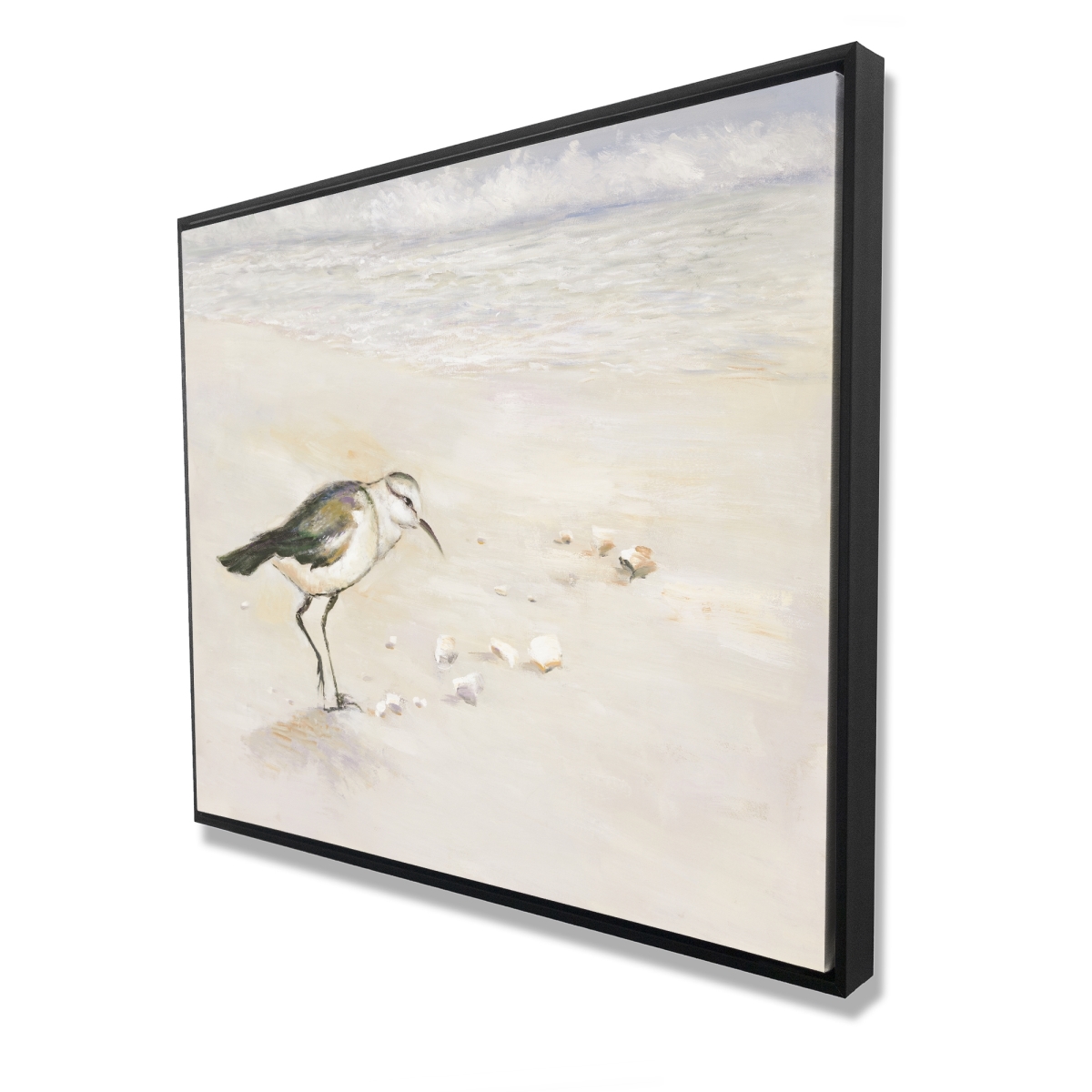 C1FC48603KLWM9 48 x 60 in. Semipalmated Sandpiper on Beach - Blue Marine Framed Canvas