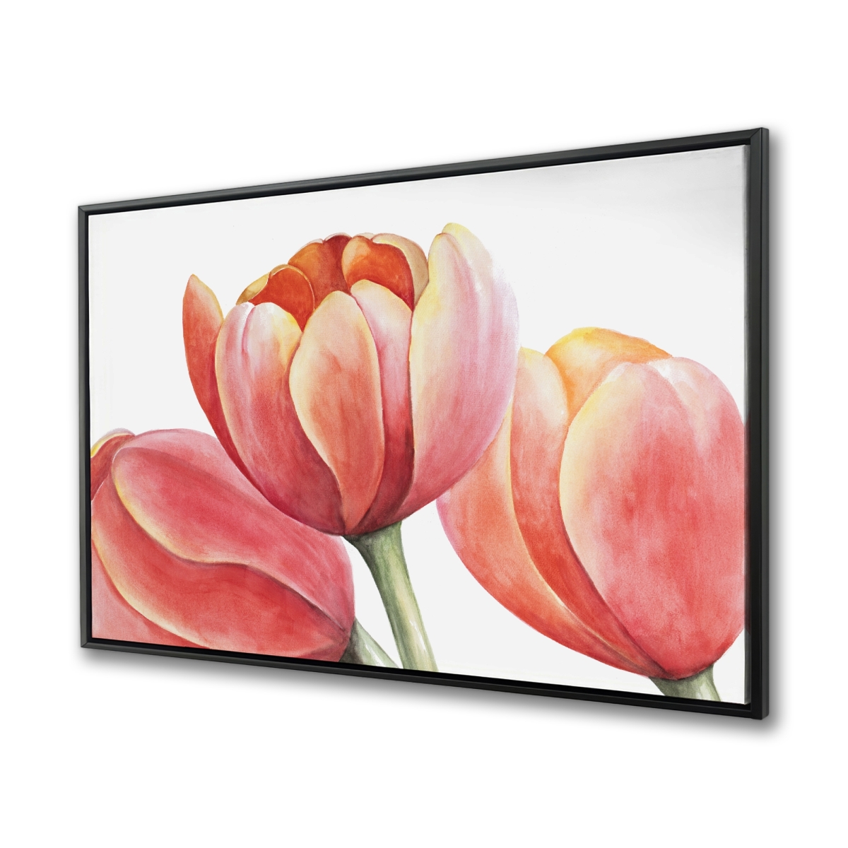 C1FC3648A9FWQ2 36 x 48 in. Three Tulips Closeup - Framed Canvas for Bedroom Decor