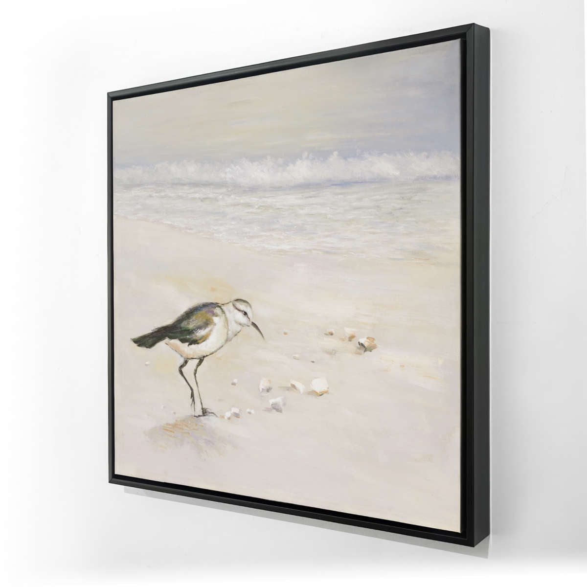 C1FC2424P0RABA 24 x 24 in. Semipalmated Sandpiper on the Beach - Framed Canvas Art