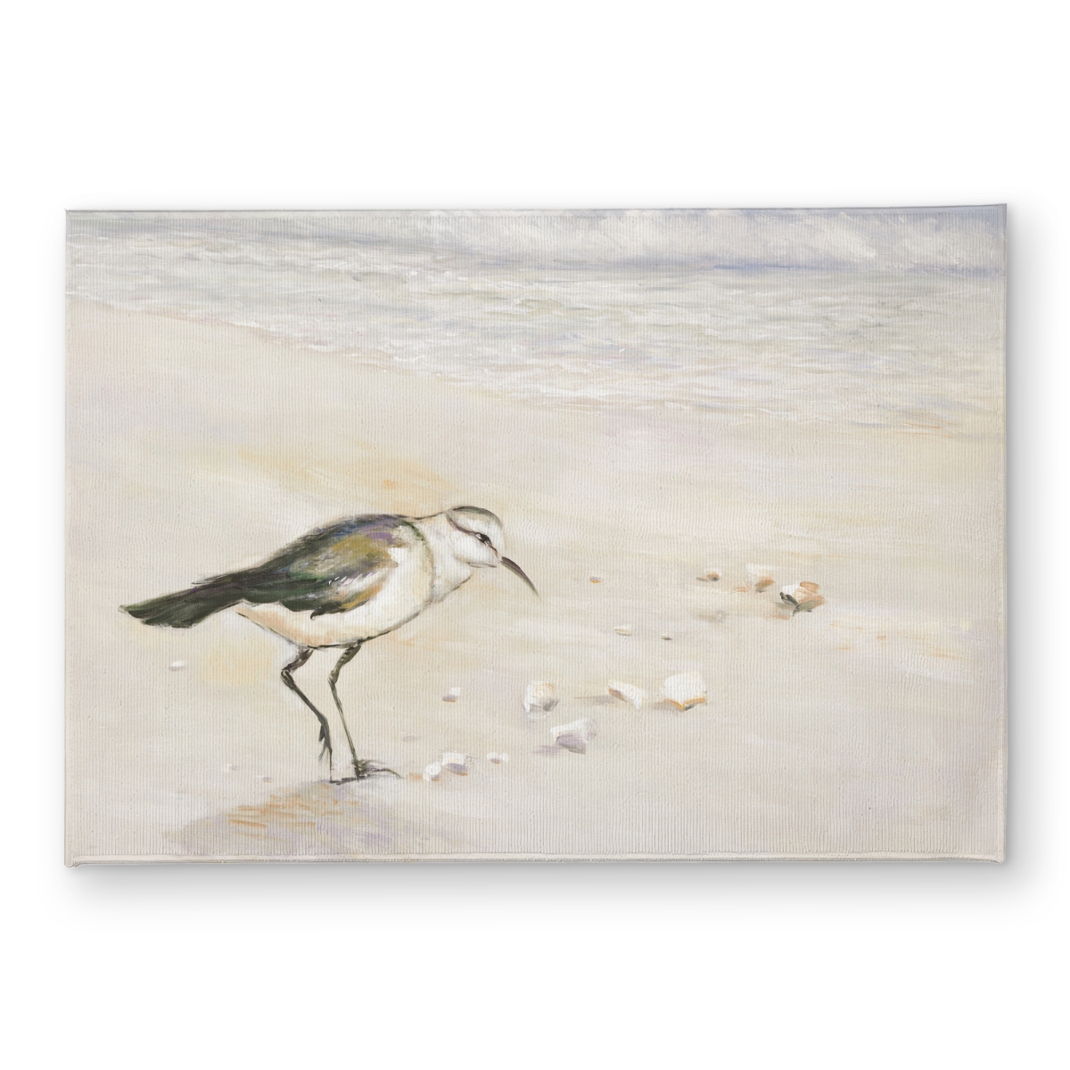 CODM1724ZK4VXC 17 x 24 in. Semipalmated Sandpiper Door Mat - Beachy Home Decor Accent