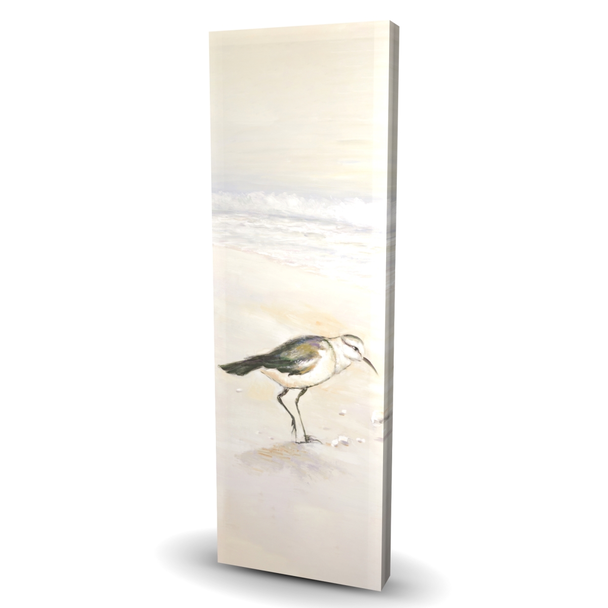 C1RC1648V0Z0E0 16 x 48 in. Semipalmated Sandpiper Canvas - Blue Animals Beach Decor
