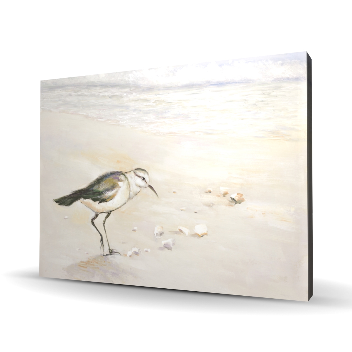 C1RC36481PM3MI 36 x 48 in. Semipalmated Sandpiper Canvas - Yellow Marine Home Decor