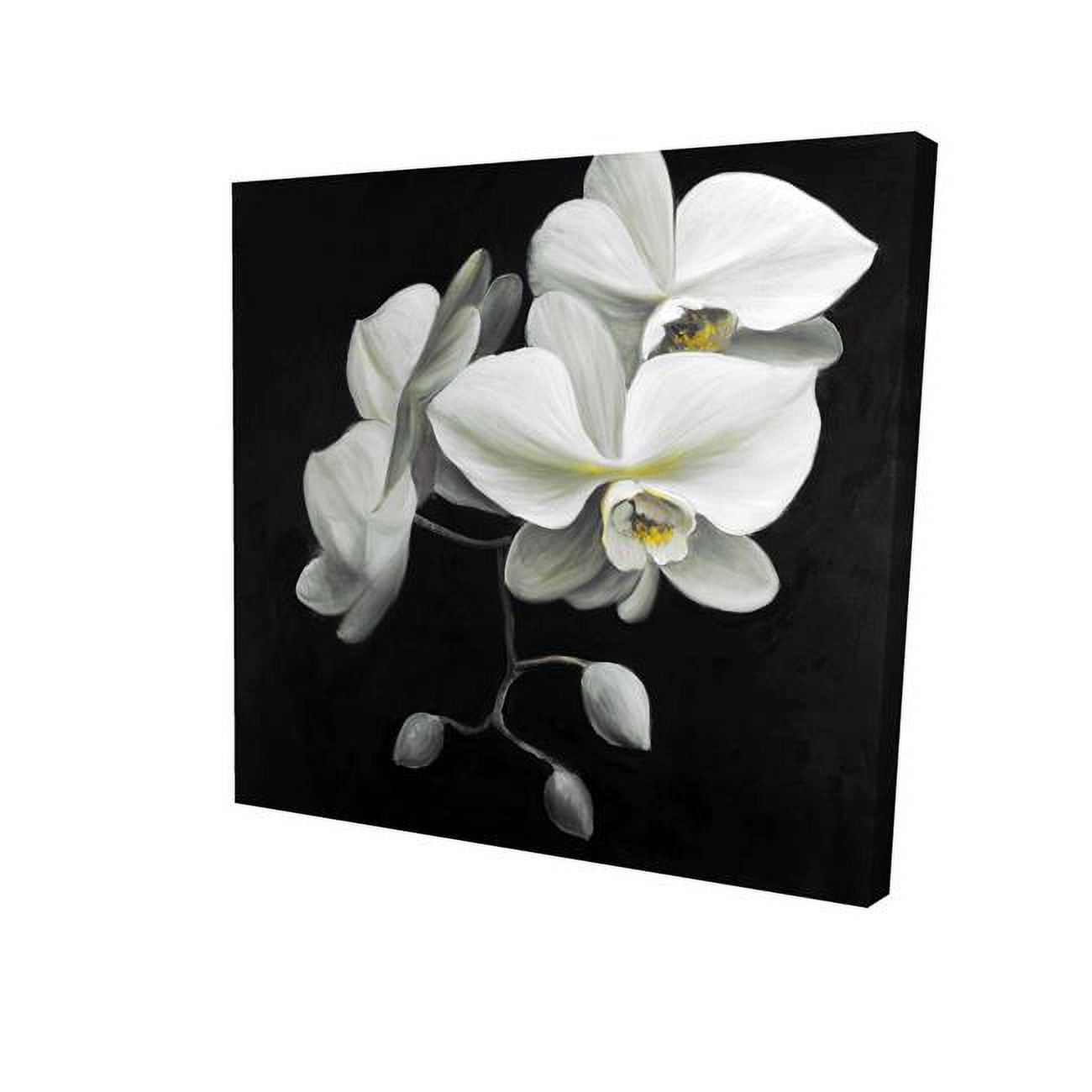 12 x 12 in. White Orchids-Print on Canvas
