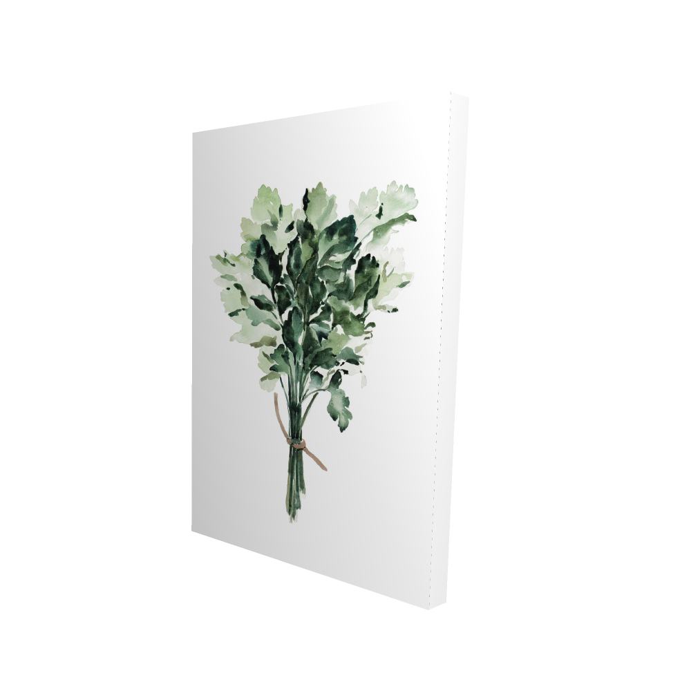 2080-3624-GA93 24 x 36 in. Tied Up Persil Bundle - Leaves Kitchen Canvas for Home Decor