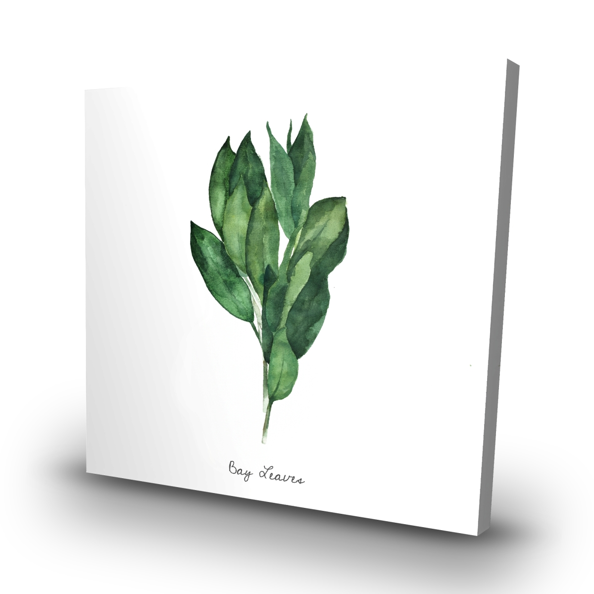 C1RC32328LUR9X 32 x 32 in. Bay Leaves Bundle - Kitchen Leaves Canvas for Home Decor