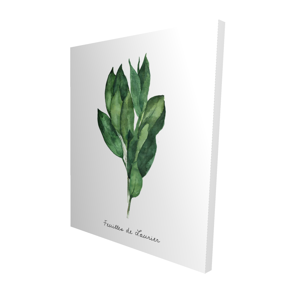 2080-6048-GA91-2 48 x 60 in. Bay Leaves Bundle - Fr - White Illustrative Canvas Decor