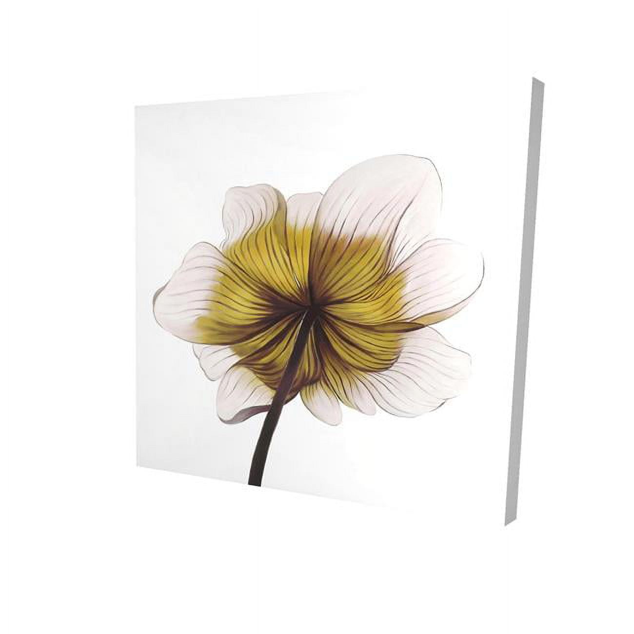 12 x 12 in. Beautiful Anemone Yellow Flower-Print on Canvas