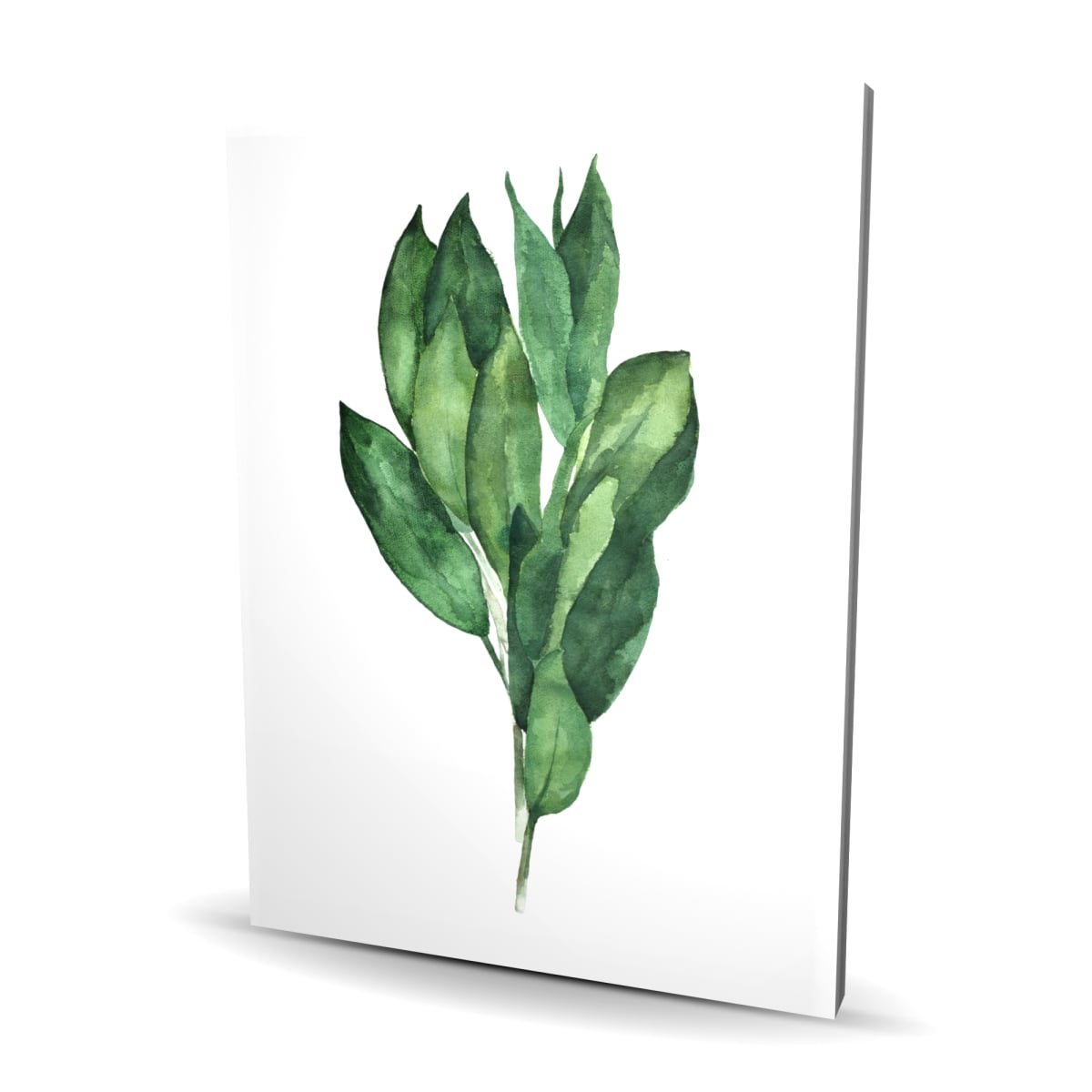 C1RC3648LRSC9Q 36 x 48 in. Bay Leaves Bundle - White Minimalist Canvas for Home Decor