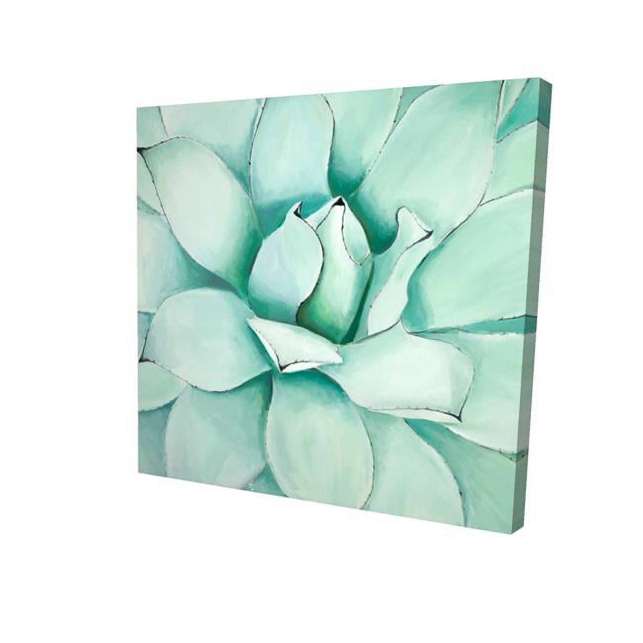 12 x 12 in. Succulent Closeup-Print on Canvas