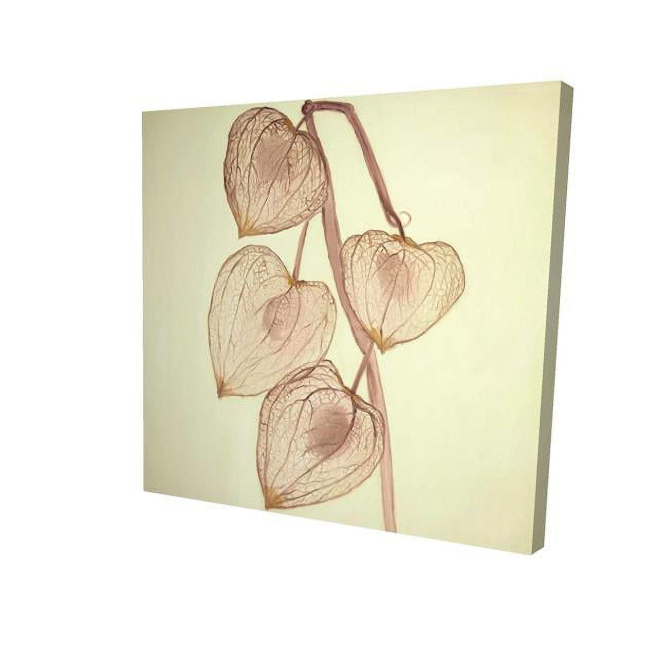 12 x 12 in. Growing Ground Cherries-Print on Canvas
