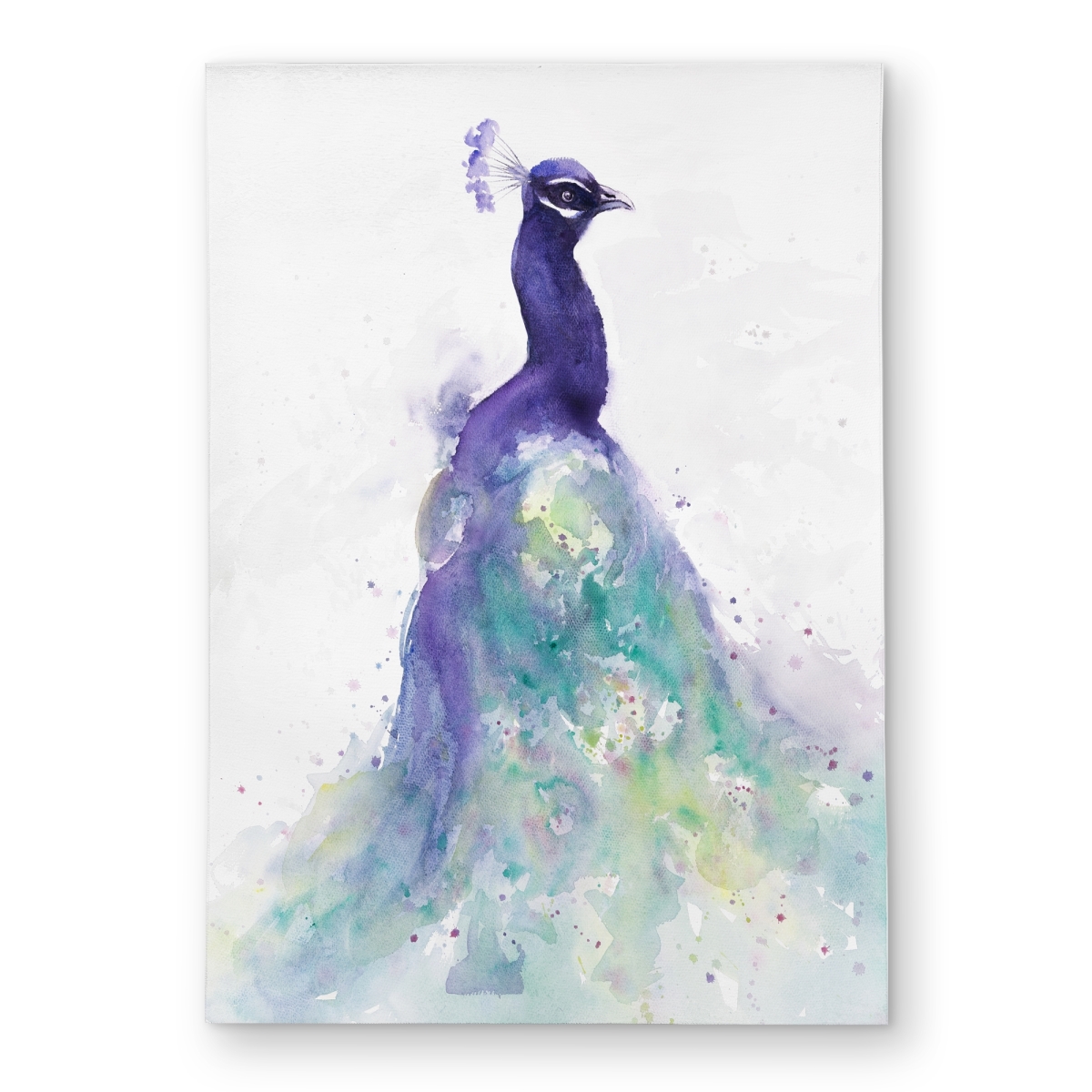 C1ROAR572A80FB 5 x 7 ft. Abstract Peacock in Watercolor - Romantic Outdoor Area Rug - Rectangle
