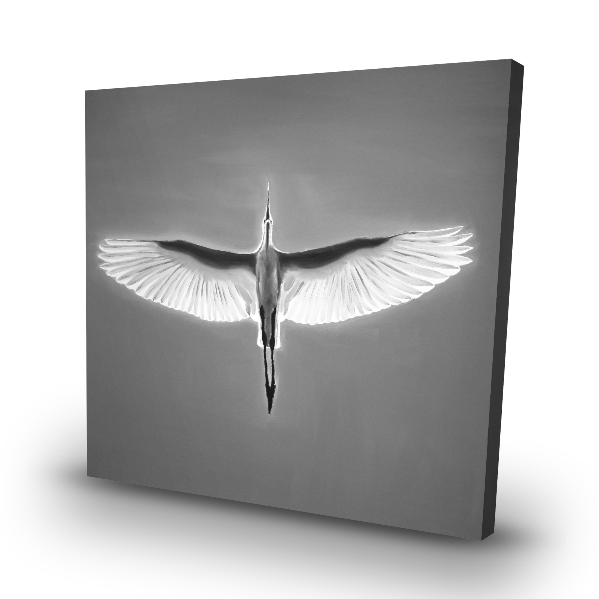 C1RC32326D006F 32 x 32 in. Great Blue Heron in Flight - Black & White Canvas Decor