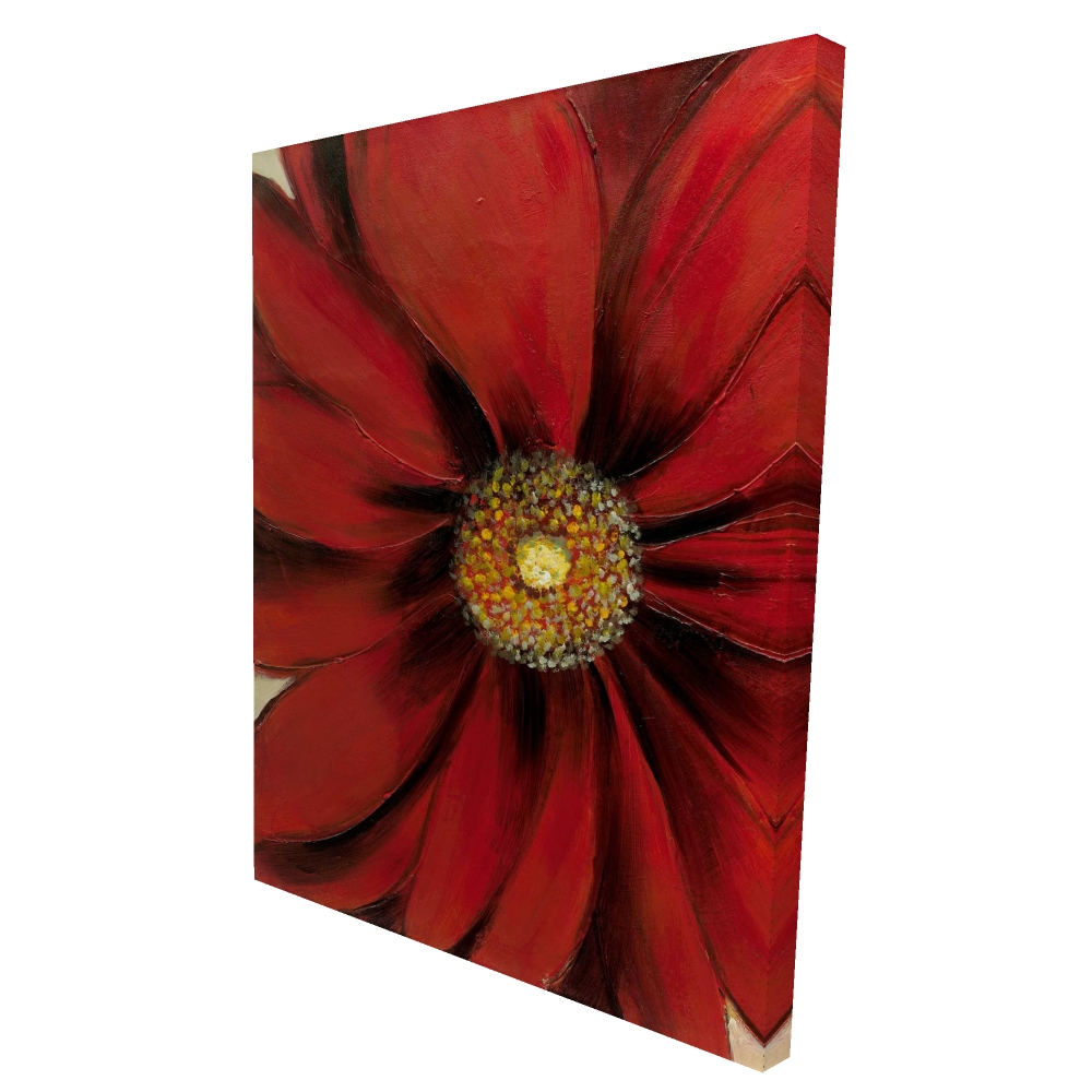 2080-4836-FL2 36 x 48 in. Red Daisy - Romantic Flowers Canvas for Home Decor