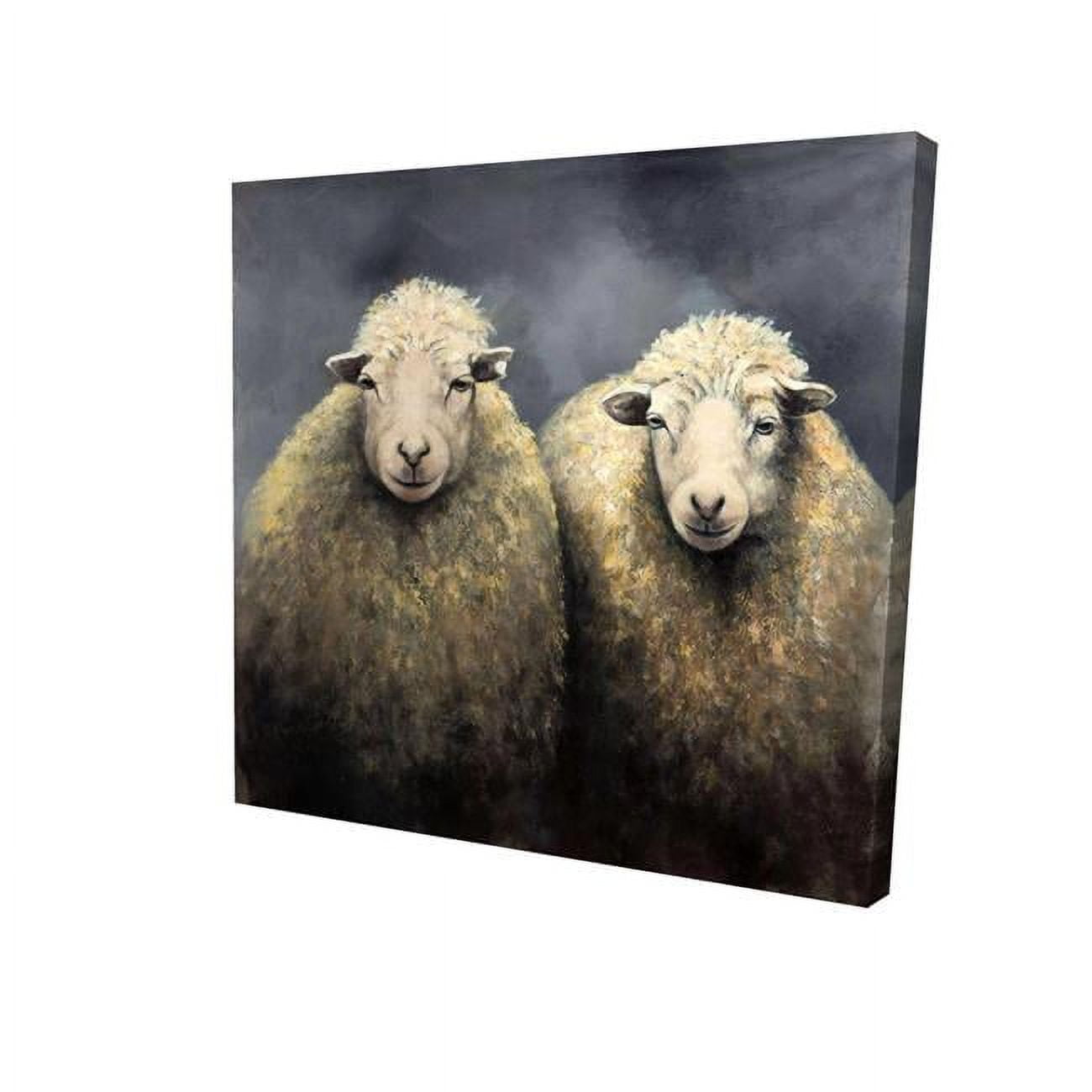 16 x 16 in. Wool Sheeps-Print on Canvas