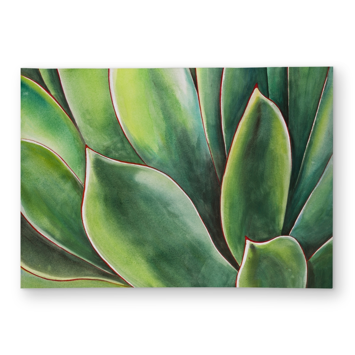 C1ROAR57U495YL 5 x 7 ft. Watercolor Agave Plant Outdoor Area Rug - Exotic Botanical Decor - Rectangle