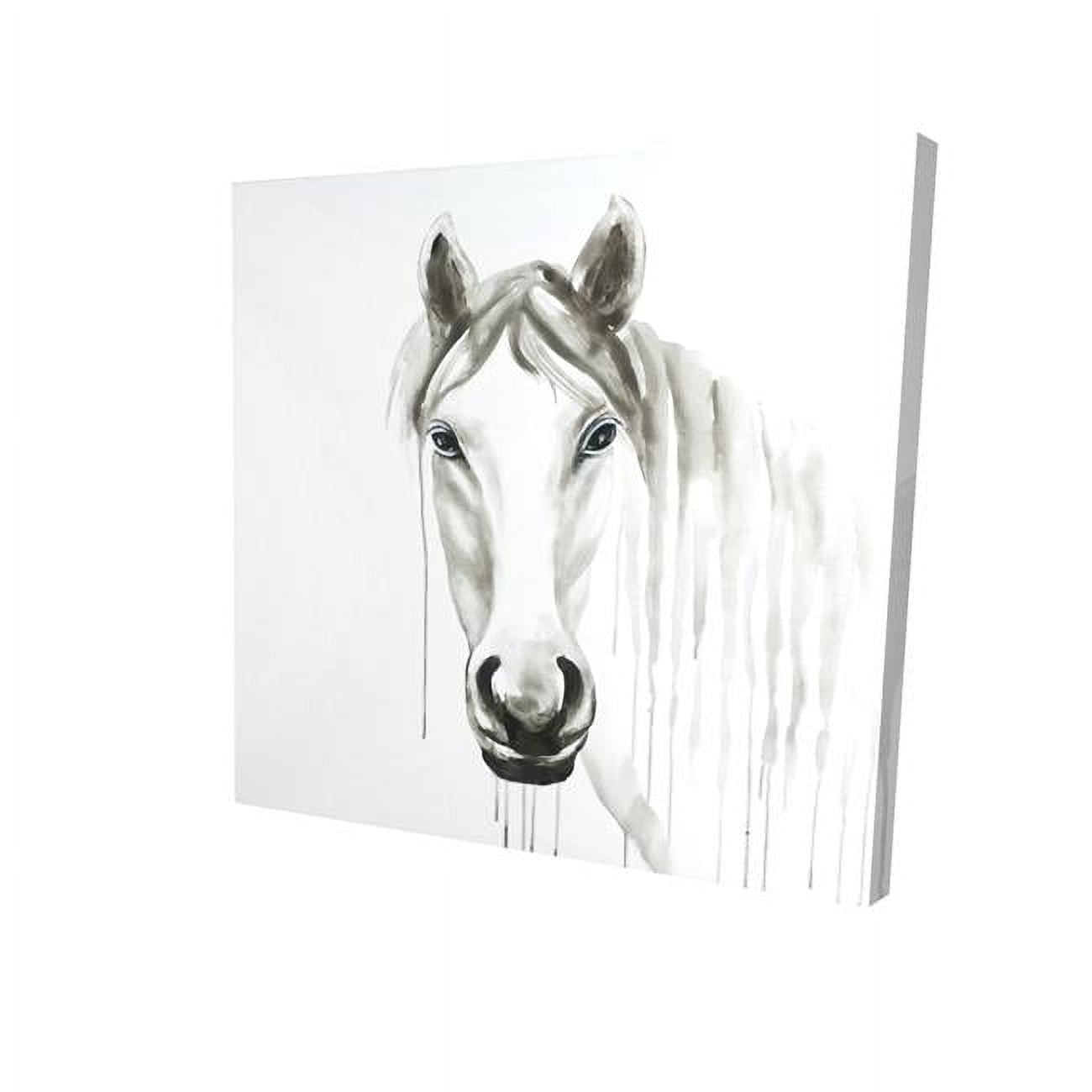 16 x 16 in. Solitary White Horse-Print on Canvas