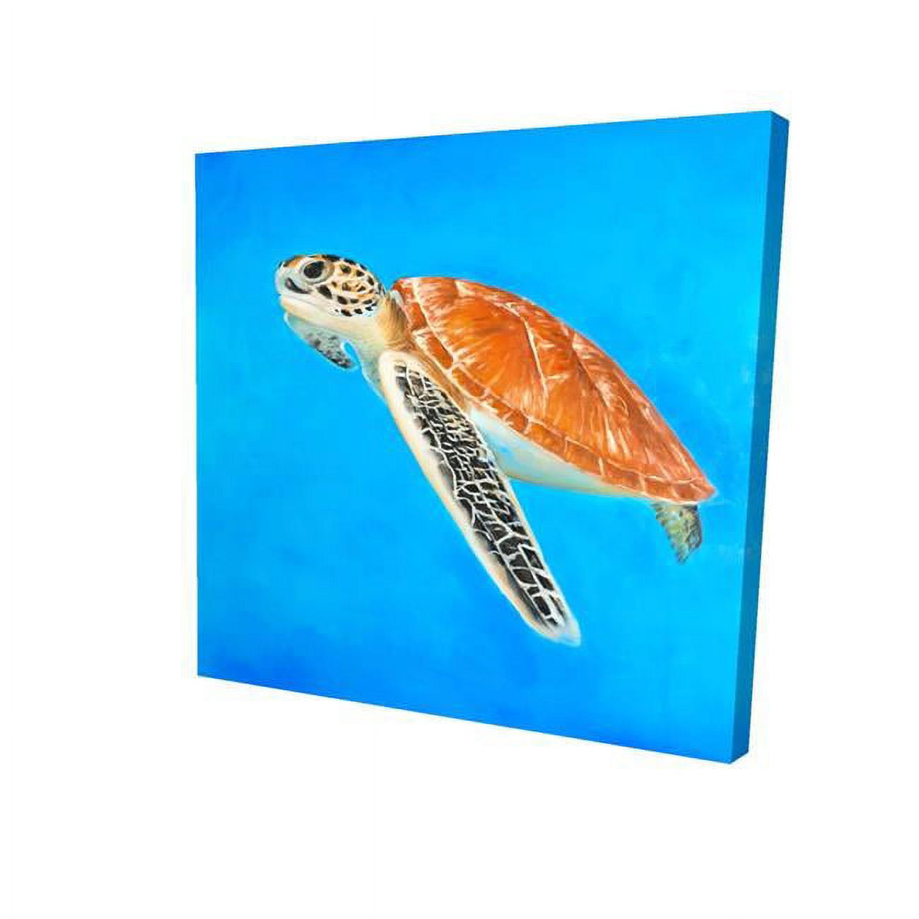 16 x 16 in. Sea Turtle-Print on Canvas