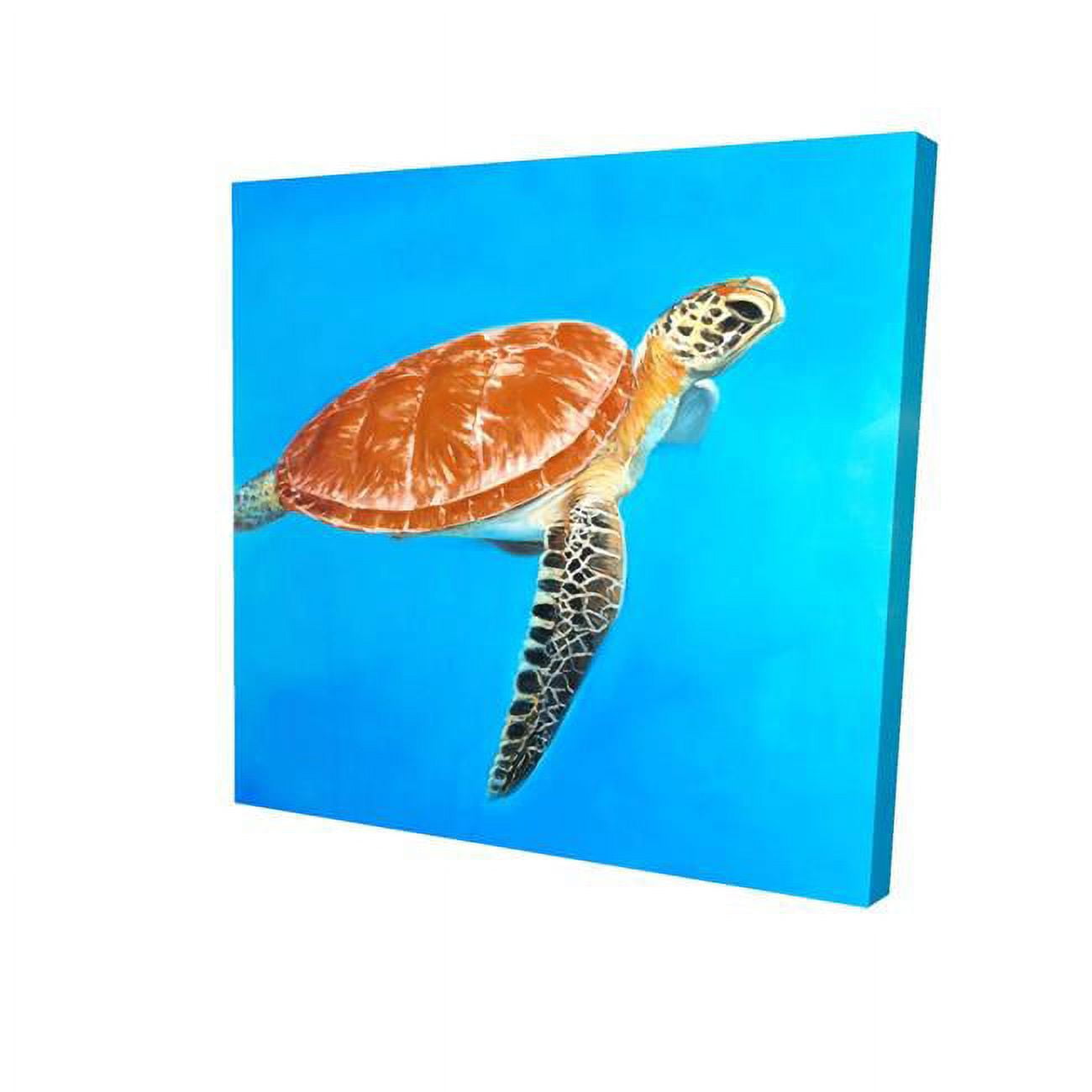 16 x 16 in. Green Aquatic Turtle-Print on Canvas