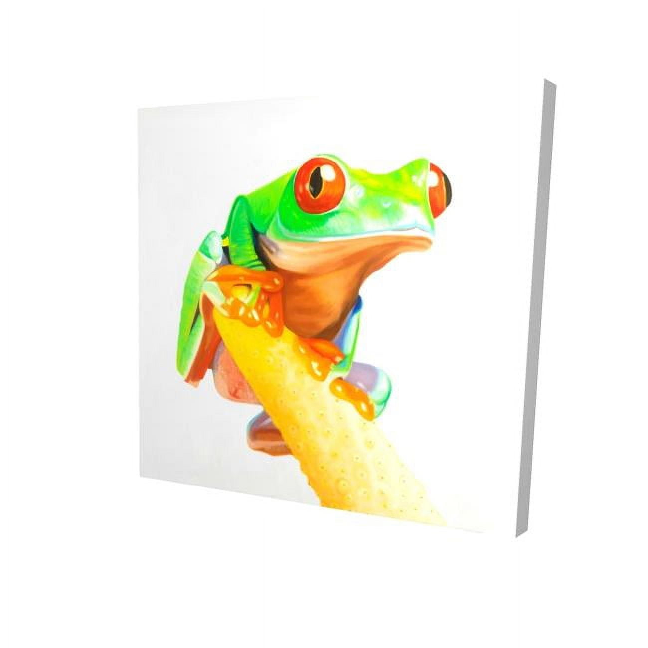 16 x 16 in. Curious Red Eyed Frog-Print on Canvas