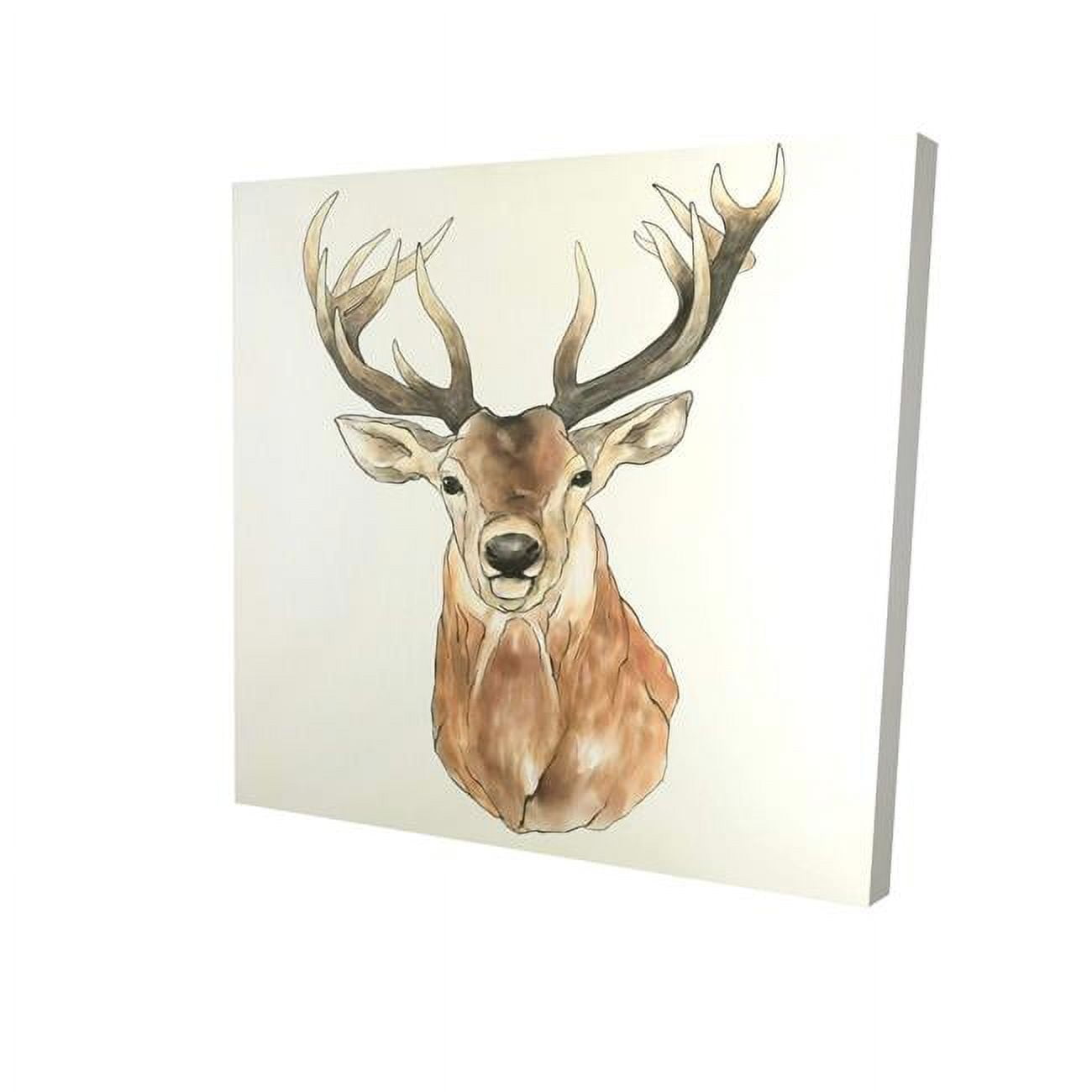 16 x 16 in. Front Deer Portrait-Print on Canvas