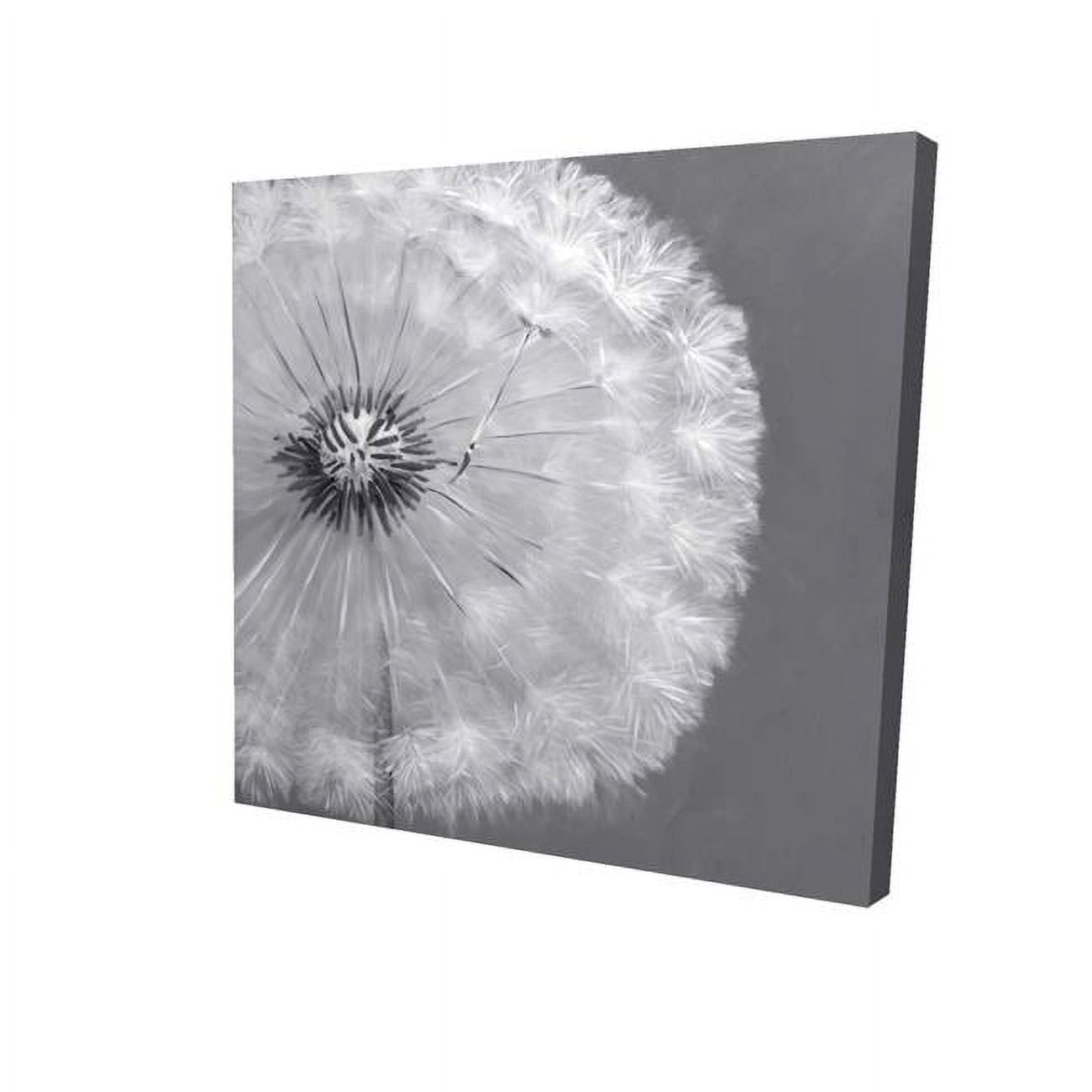 16 x 16 in. Dandelion Puff Ball-Print on Canvas