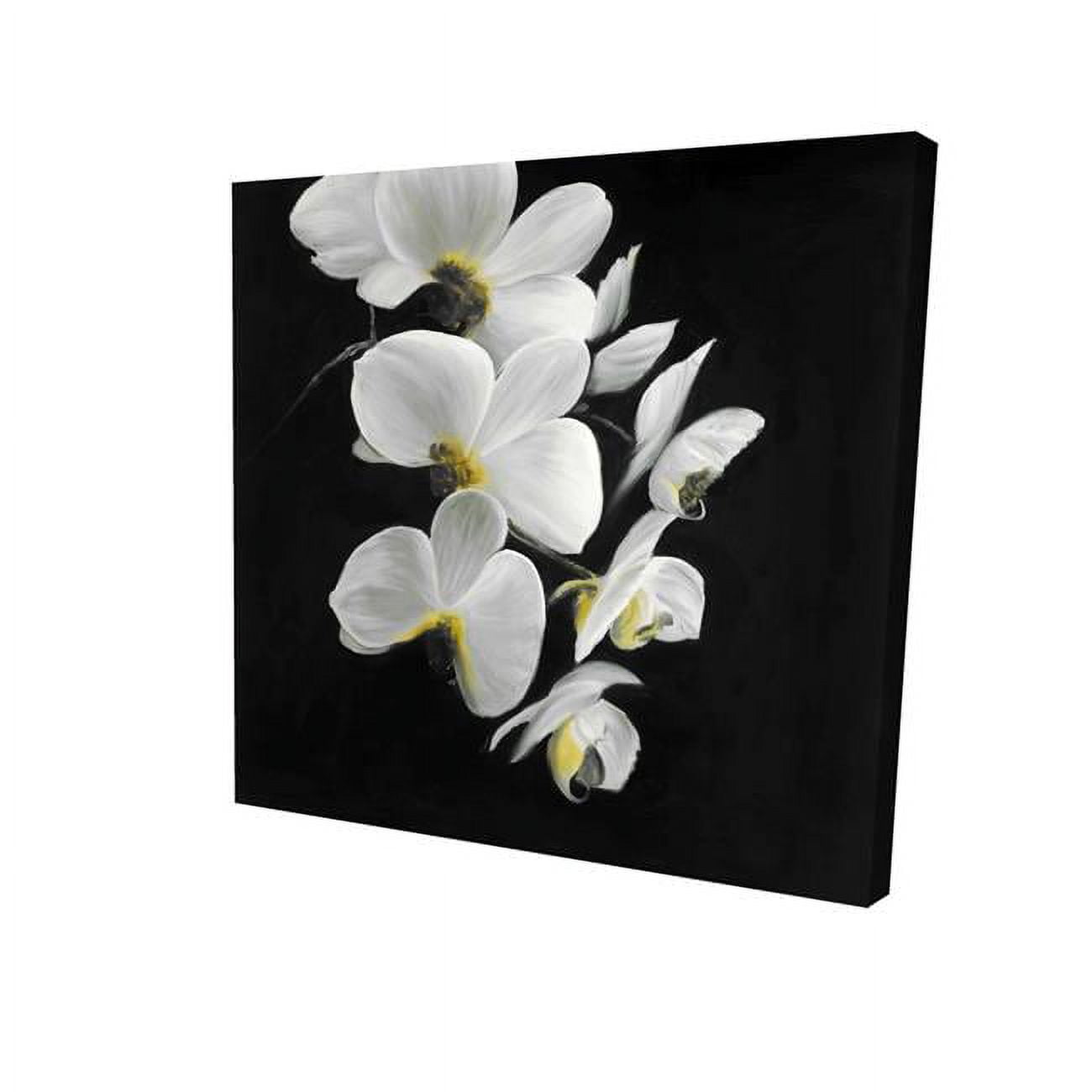 16 x 16 in. Beautiful Orchids-Print on Canvas