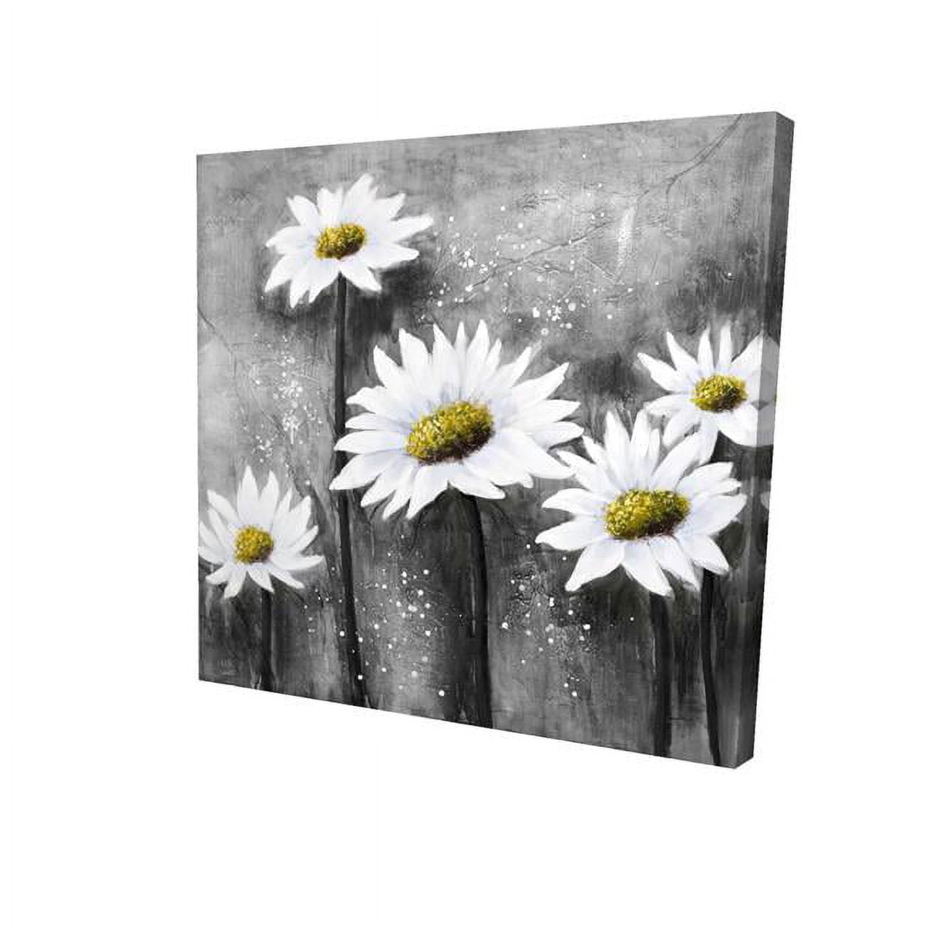 16 x 16 in. Daisies-Print on Canvas
