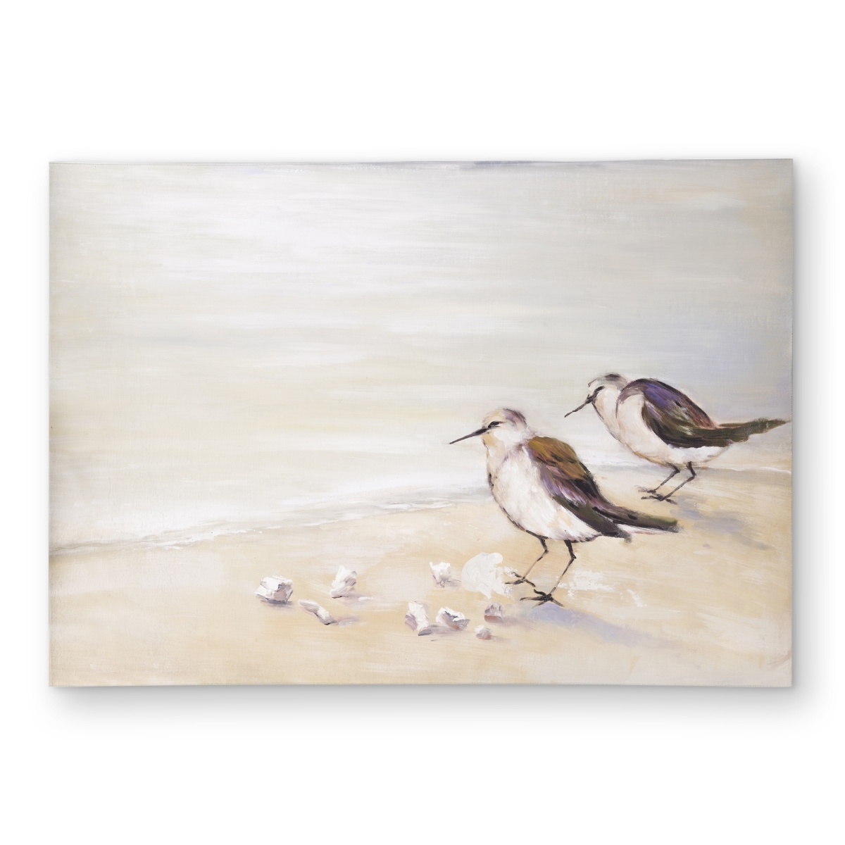 C1ROAR57FC45WR 5 x 7 ft. Two Sandpipers on the Beach Outdoor Area Rug - Beach Beige Decor - Rectangle