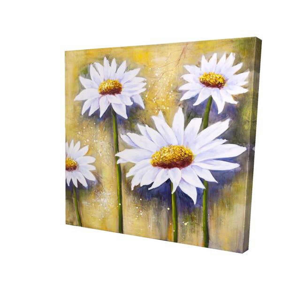 16 x 16 in. Daisies At Sun-Print on Canvas