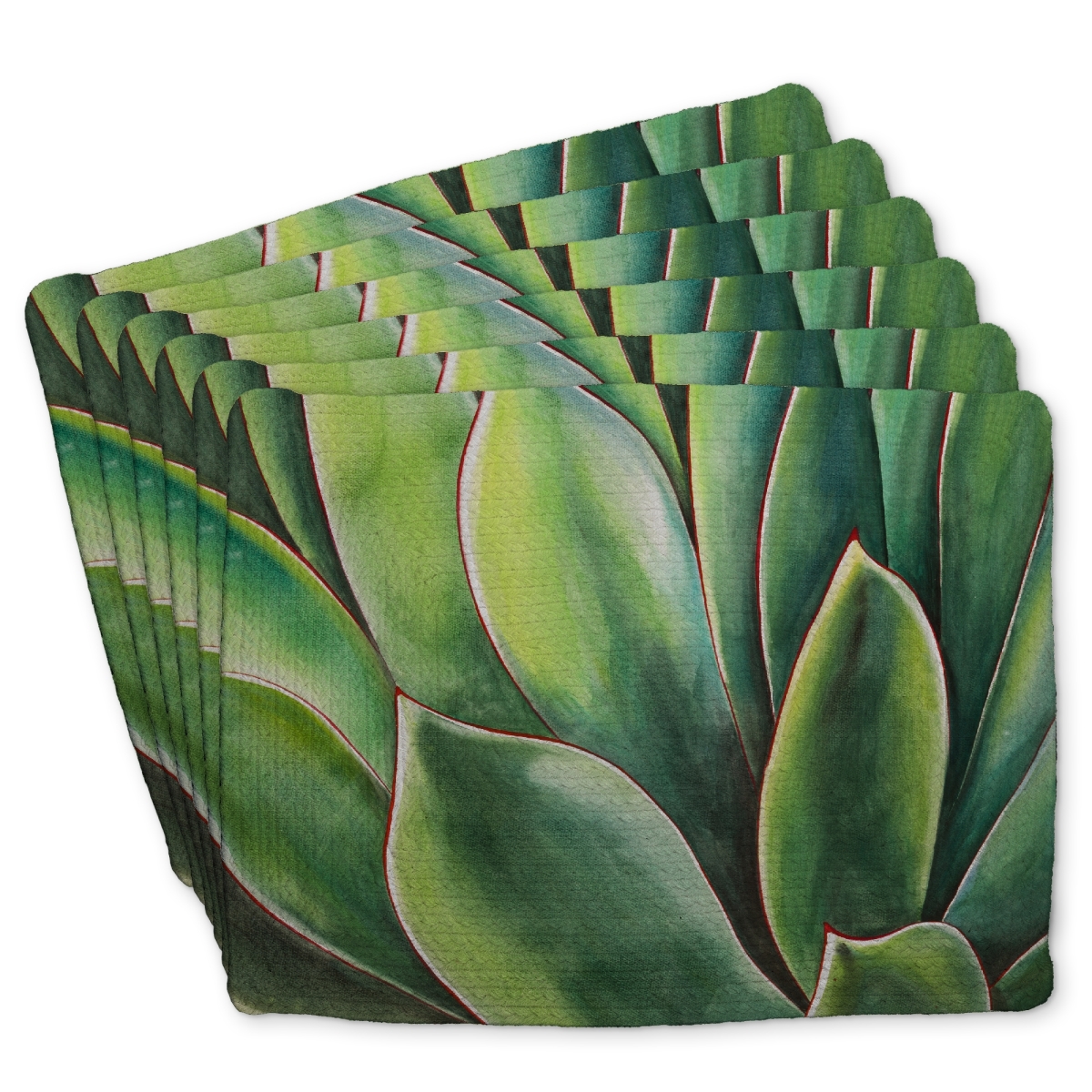 Picture of Begin Home Decor C6BP1418N5UIE7 14 x 18 in. Watercolor Agave Plant - Braided Polyester Placemat - Home Decor - Set of 6