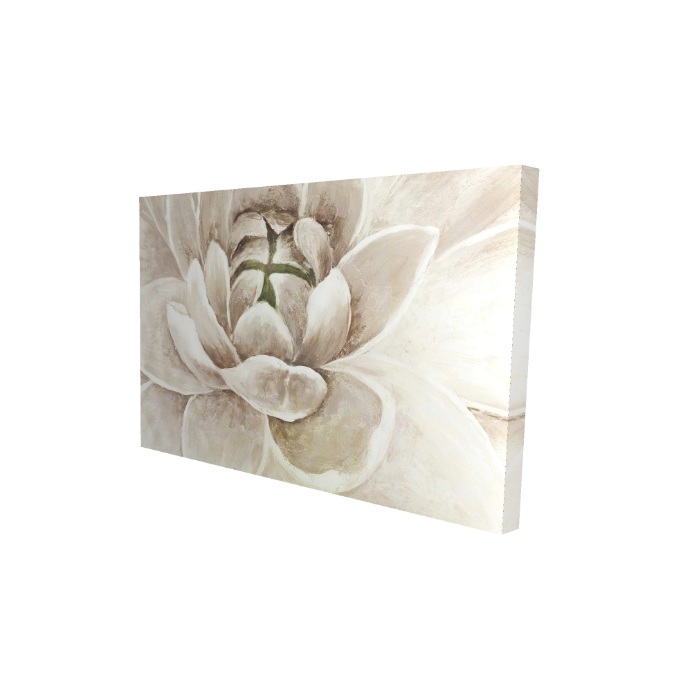2080-2436-FL88 24 x 36 in. Delicate Chrysanthemum - Botanical Contemporary Canvas Art