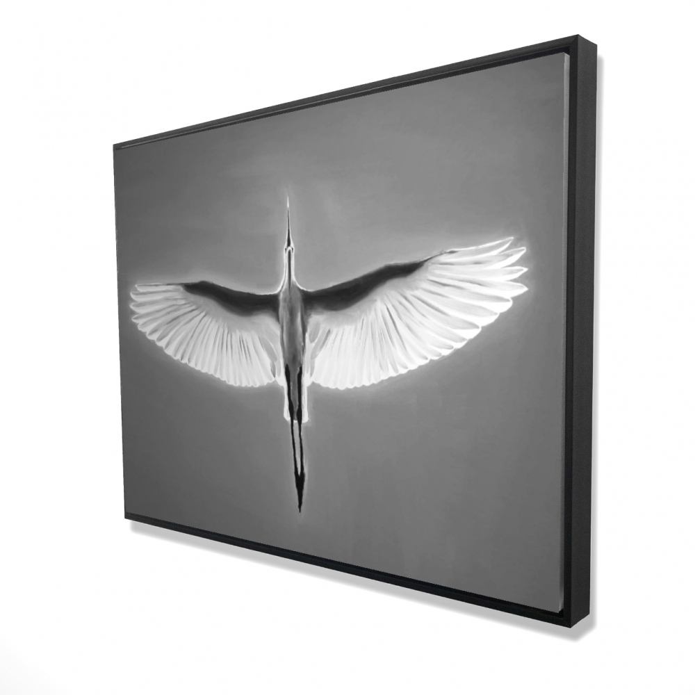 2081-3648-AN445 36 x 48 in. Great Blue Heron in Flight - Framed Canvas Home Decor