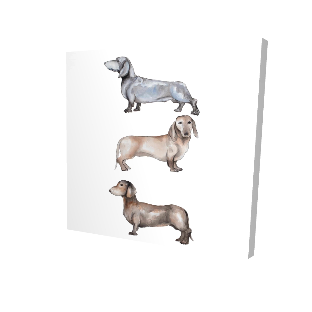 2080-0808-AN409 8 x 8 in. Small Dachshund Dog Canvas - Bedroom Decor for Pet Lovers