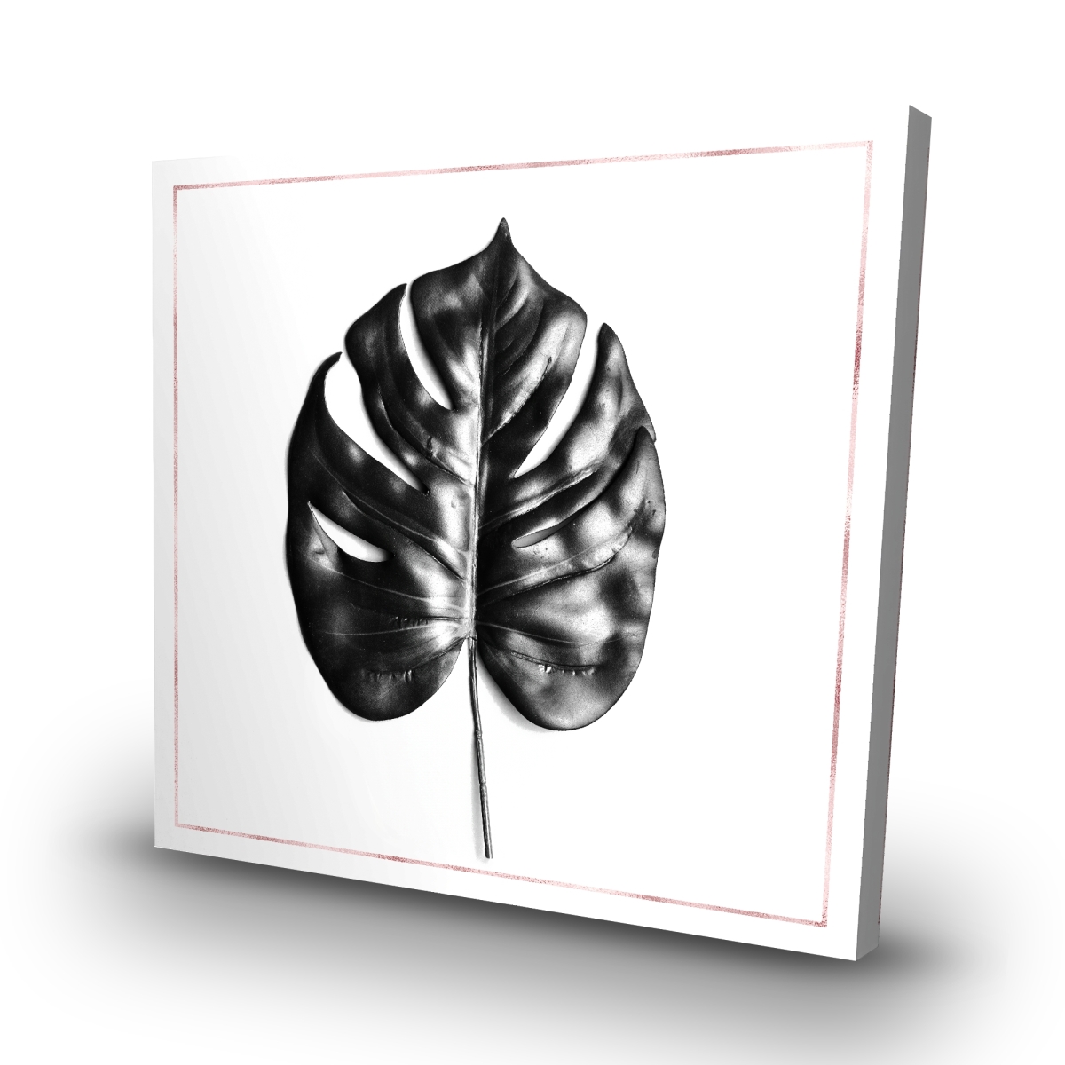 C1RC3232AOZQL2 32 x 32 in. Split Leaf Philodendron with Rose Line - Black Botanical Canvas
