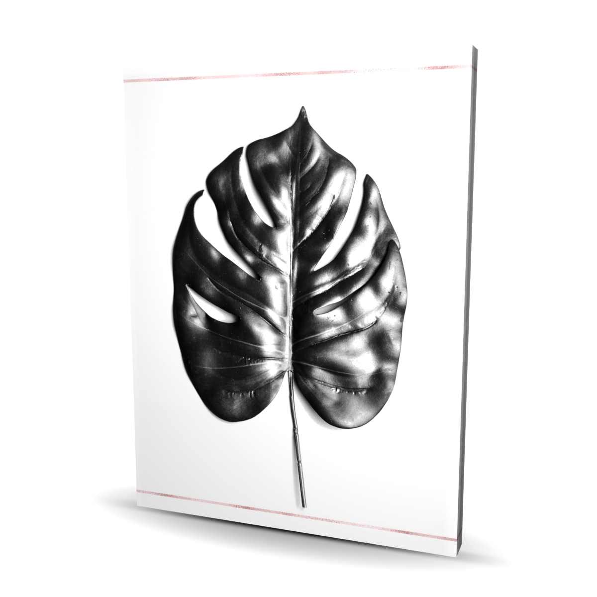 C1RC3648F0KNZ6 36 x 48 in. Split Leaf Philodendron Rose Line - Exotic Botanical Canvas