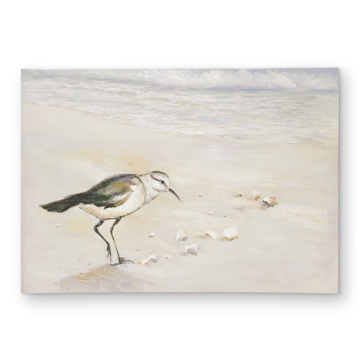 C1ROAR573O8AUW 5 x 7 ft. Semipalmated Sandpiper Outdoor Area Rug - Livingroom Beige - Rectangle