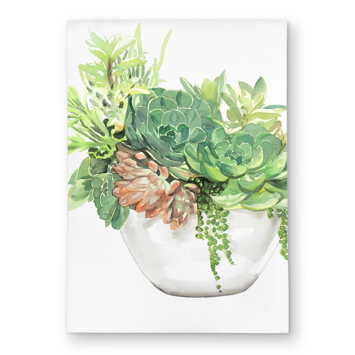 C1ROAR57Q3QCOV 5 x 7 ft. Succulent Assortment in Pot - Exotic Leaves Outdoor Rug - Rectangle