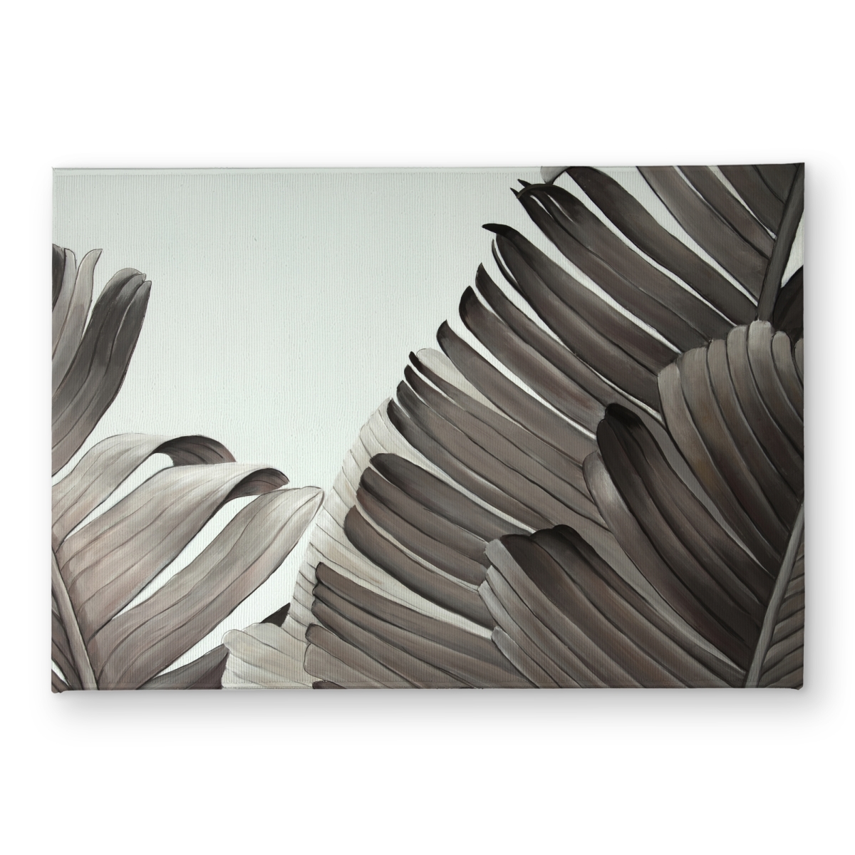 CODM1724P4JEE8 17 x 24 in. Grayscale Tropical Leaves Door Mat - Exotic Home Decor