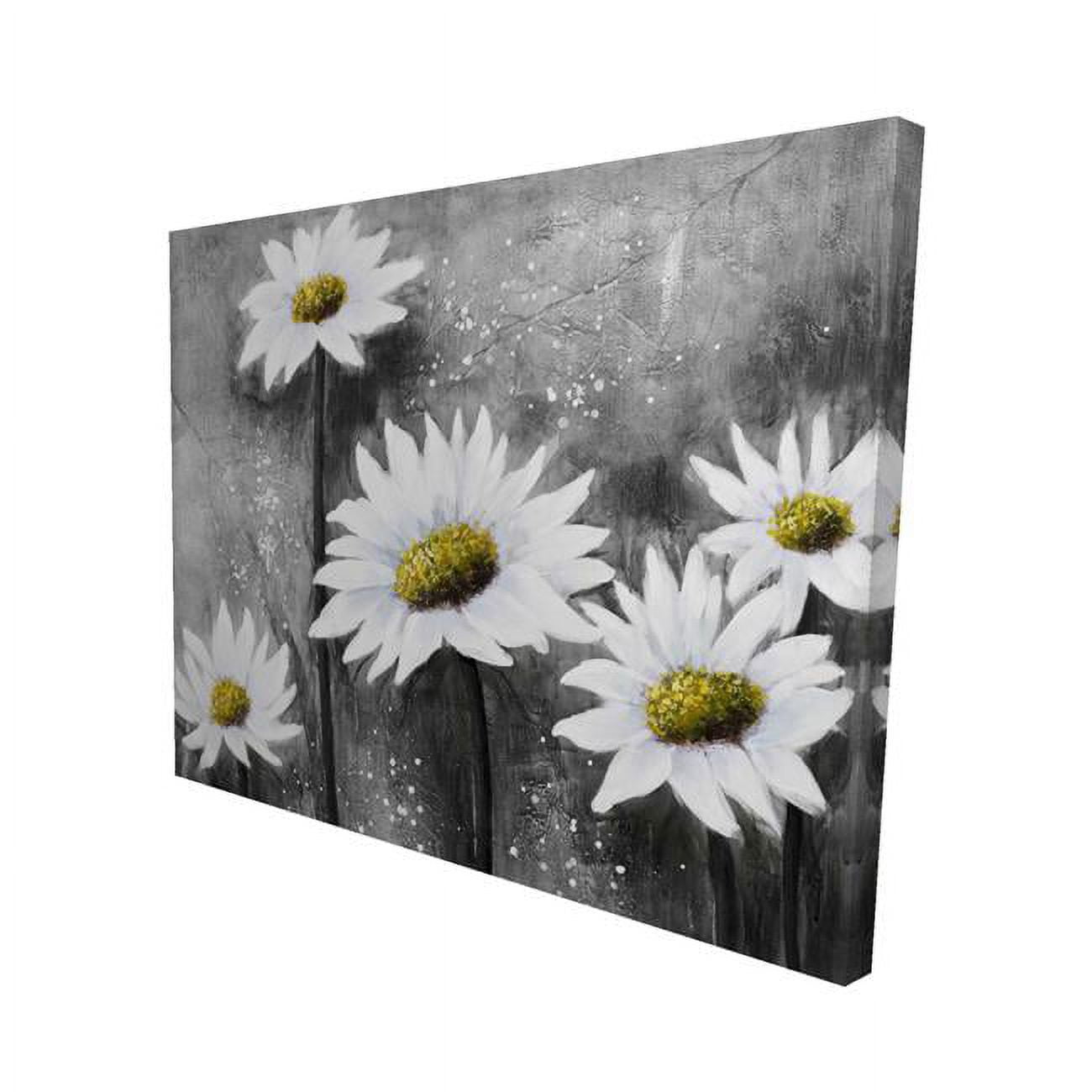 16 x 20 in. Daisies-Print on Canvas