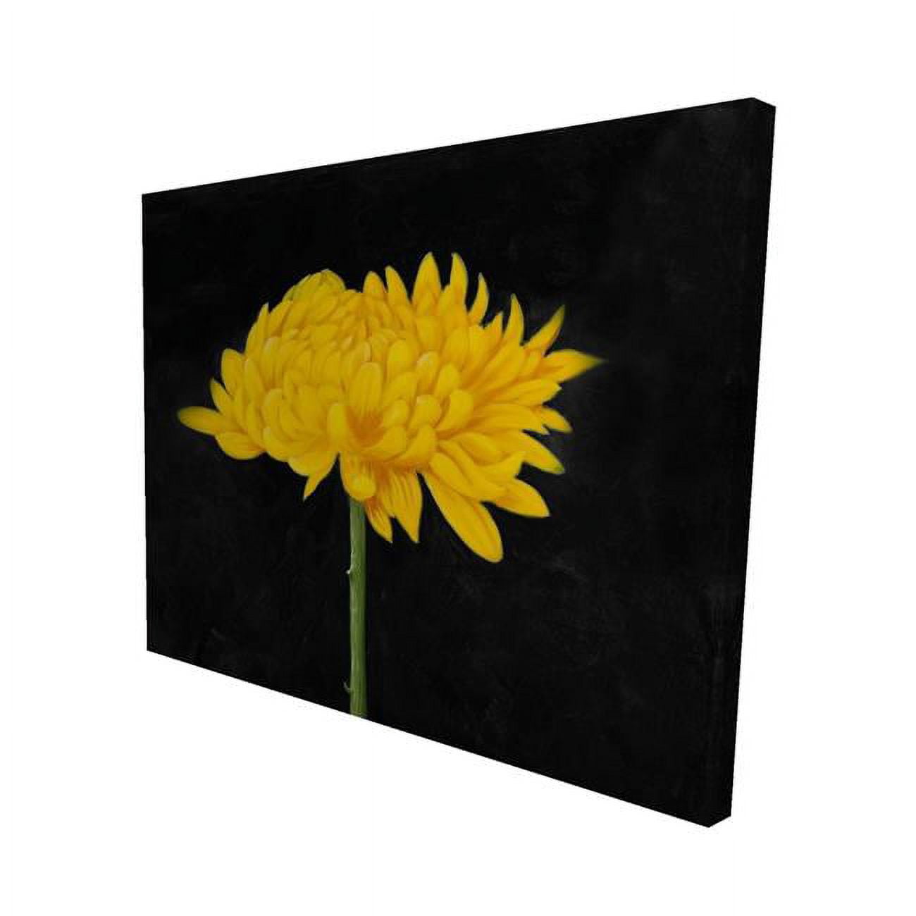 16 x 20 in. Chrysanthemum-Print on Canvas