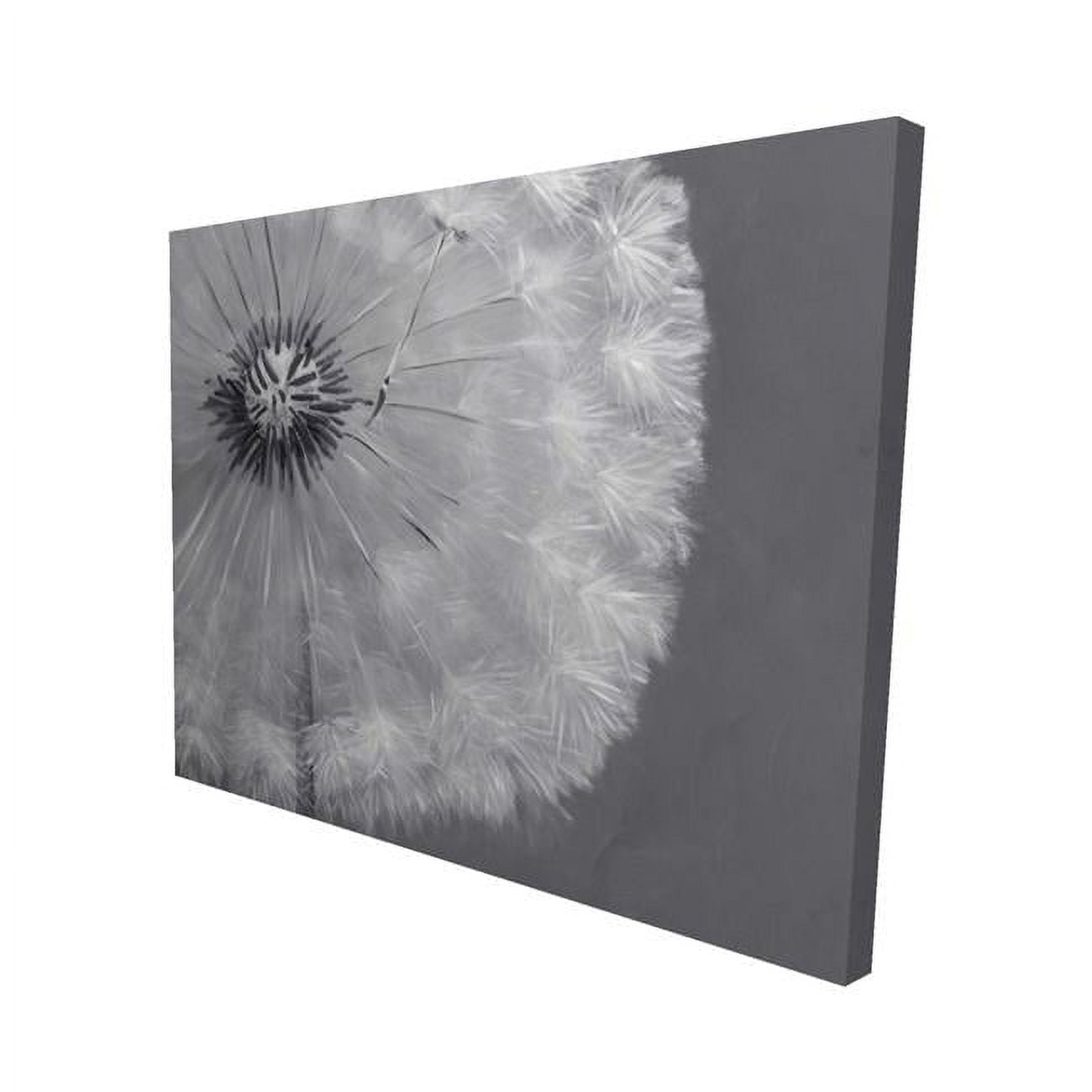 16 x 20 in. Dandelion Puff Ball-Print on Canvas