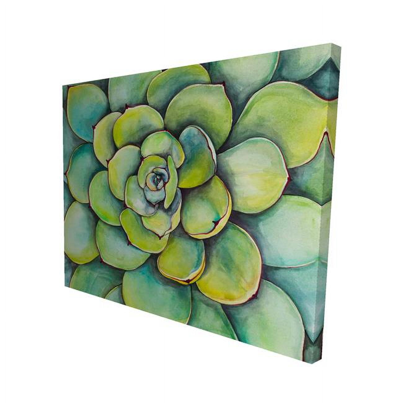 16 x 20 in. Watercolor Succulent Plant-Print on Canvas